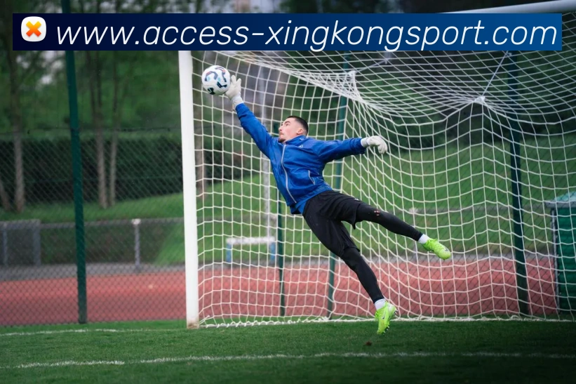 星空体育发展历程